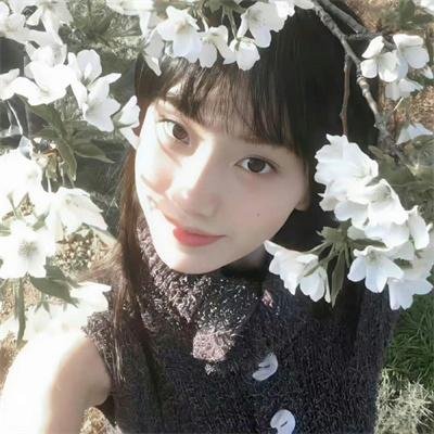 最后的真相