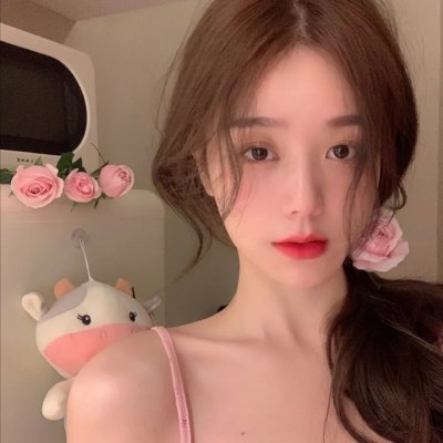 阿莱蒂公主